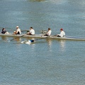 Men s Open 4 a